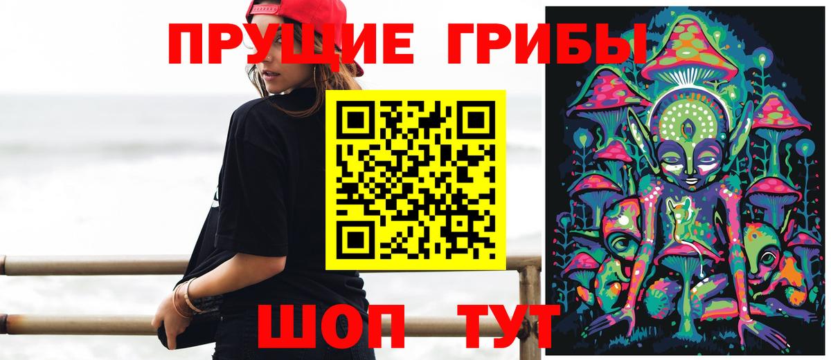 Псилоцибиновые грибы MAGIC MUSHROOMS  Псилоцибиновые грибы MAGIC MUSHROOMS  Вход с VPN  Димитровград 